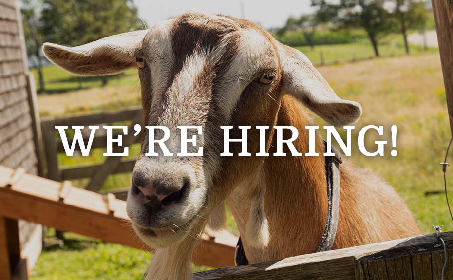 We're Hiring! Program Manager Position